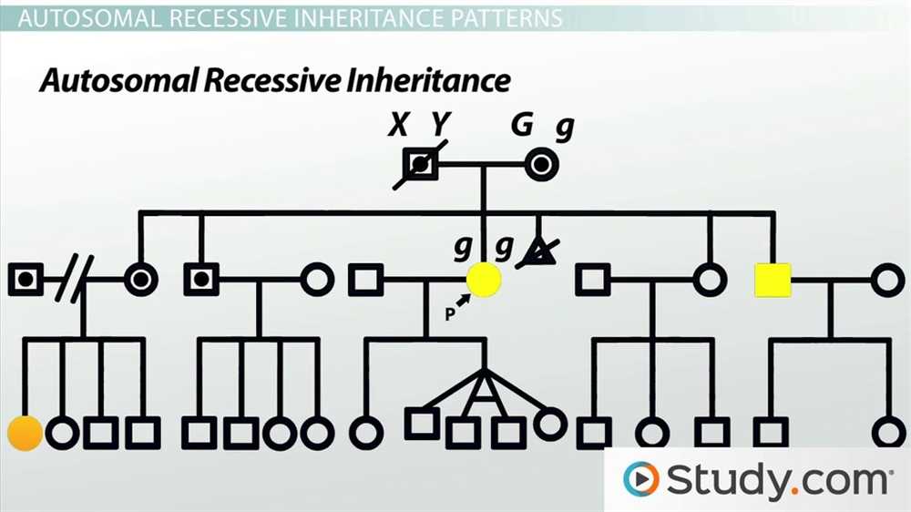 Unlocking The Secrets Of Human Inheritance Lab Answer Key Revealed