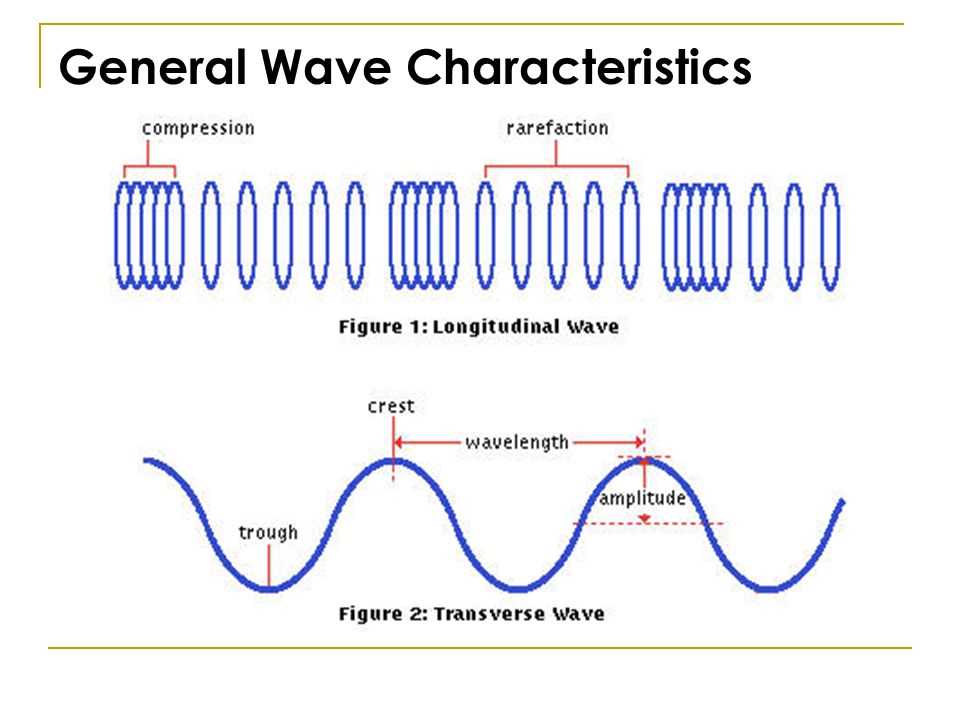 Mastering Transverse Waves Get The Worksheet Answers You Need