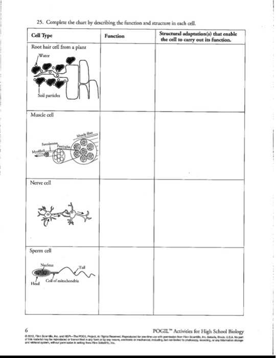 How Membrane Function Pogil Can Revolutionize Ap Biology Answers Unveiled