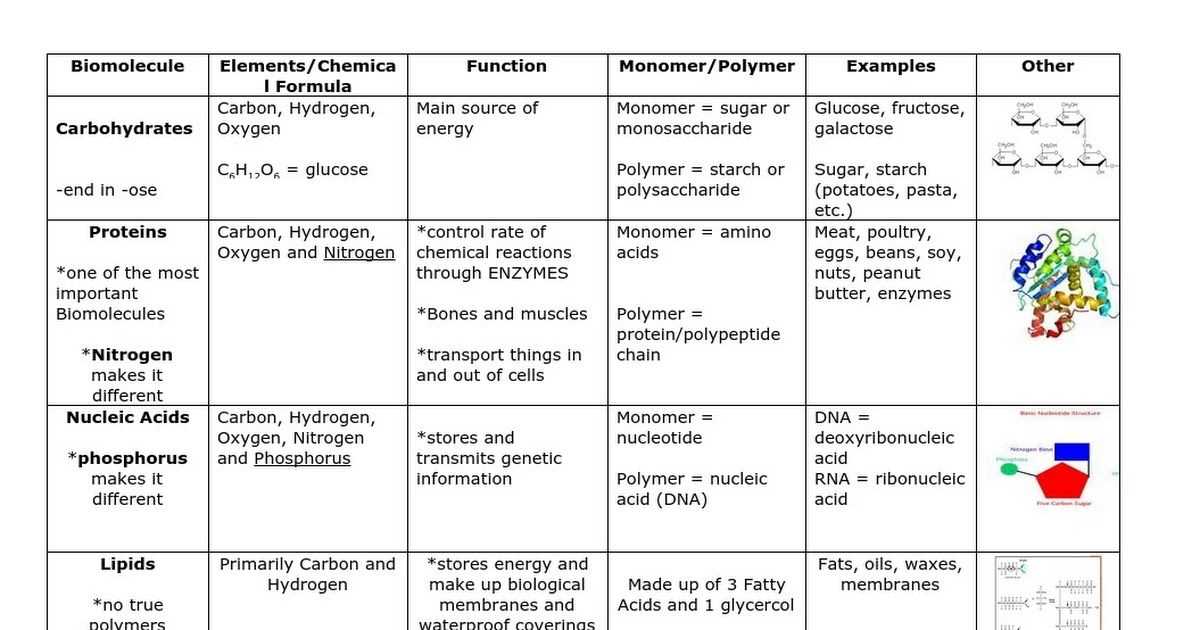 11.2 biology worksheet answers