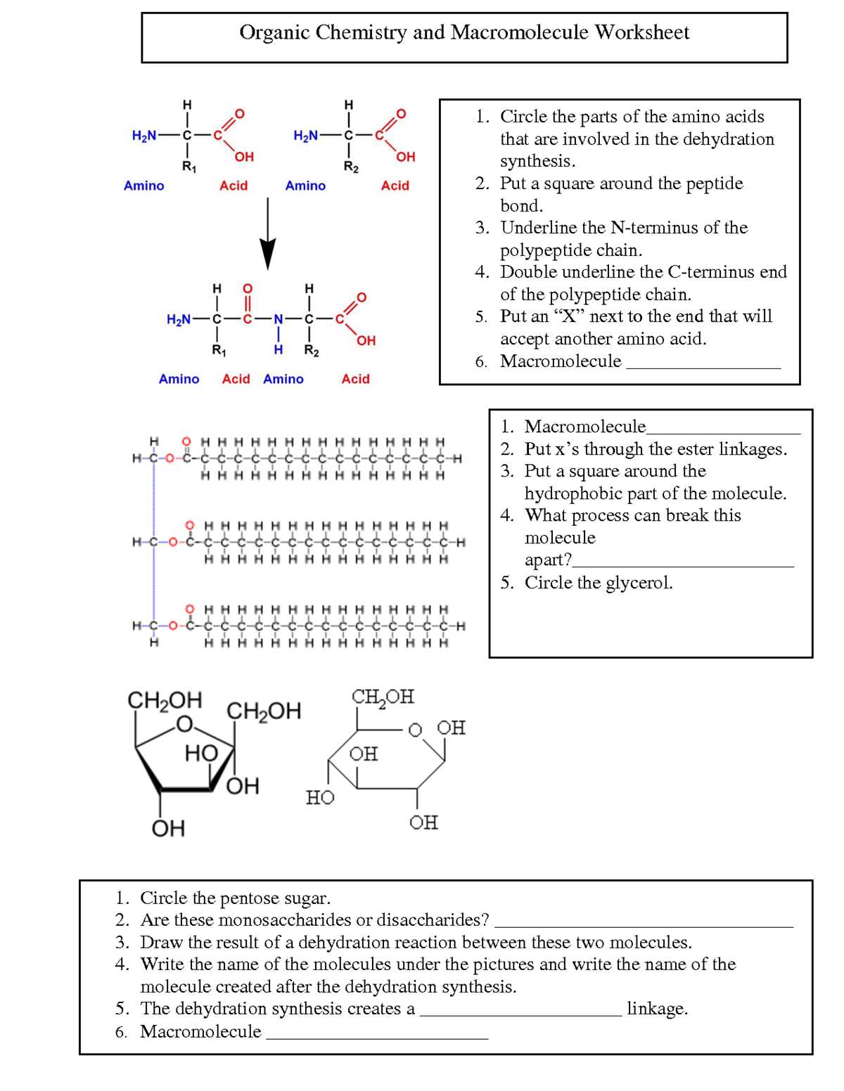 Benefits of Using Worksheets for Learning Biology