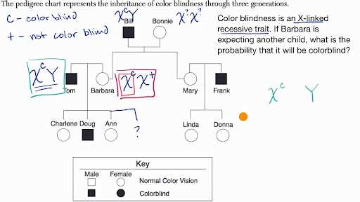 The Role of Genetics in Human Diseases