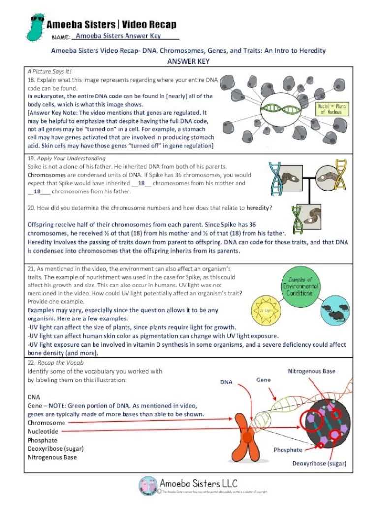 Parts of a Microscope