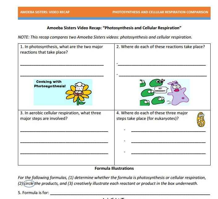 Unlock the Secrets of Photosynthesis with the Color by Number Answer Key