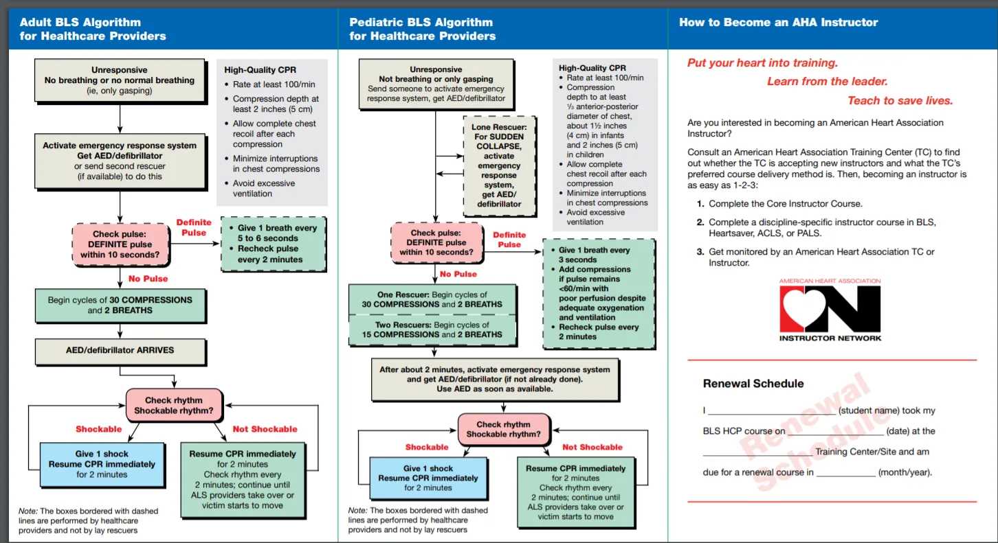 Aha bls instructor exam answers 2025