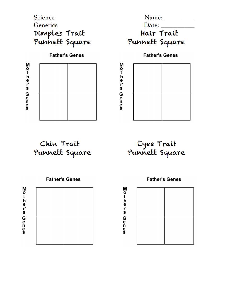 Tips for Mastering Punnett Square Problems