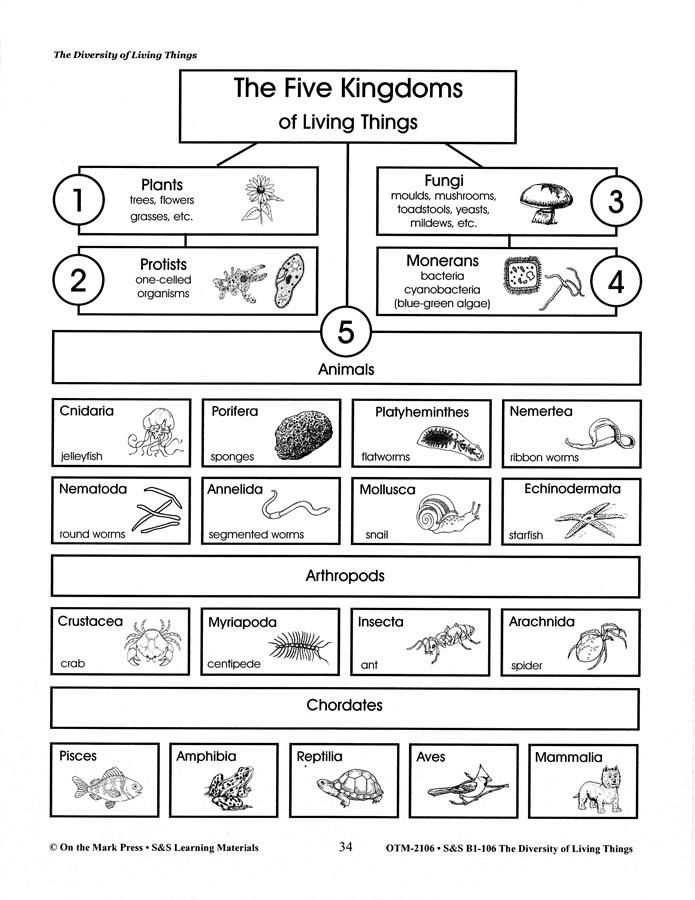 Understanding the Concept of Interactions Among Living Things