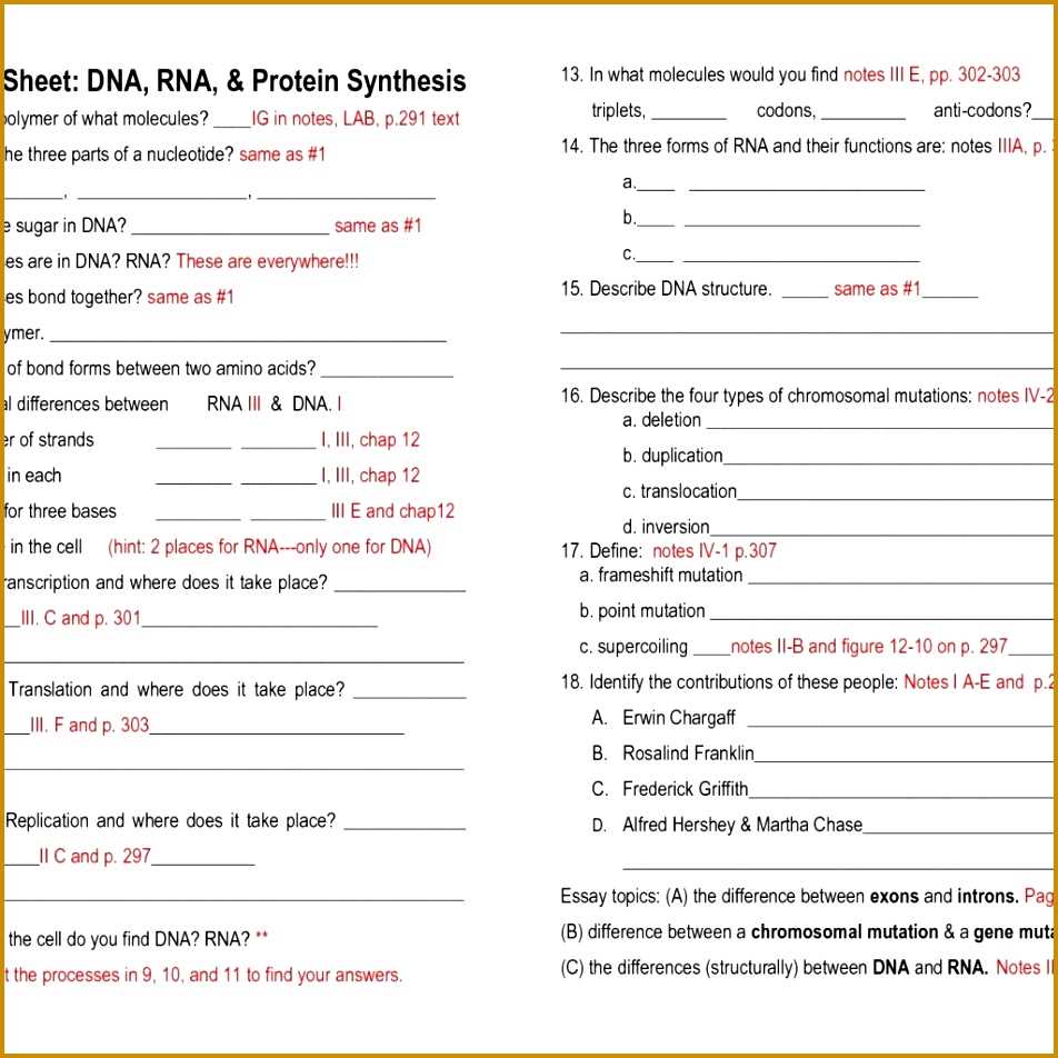 DNA Mutations Worksheet Answer Key: Insight into Genetic Variation