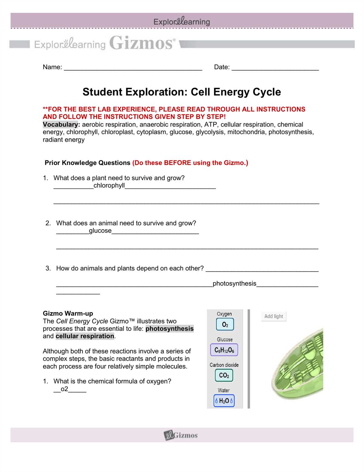 Biozone ap biology answer key