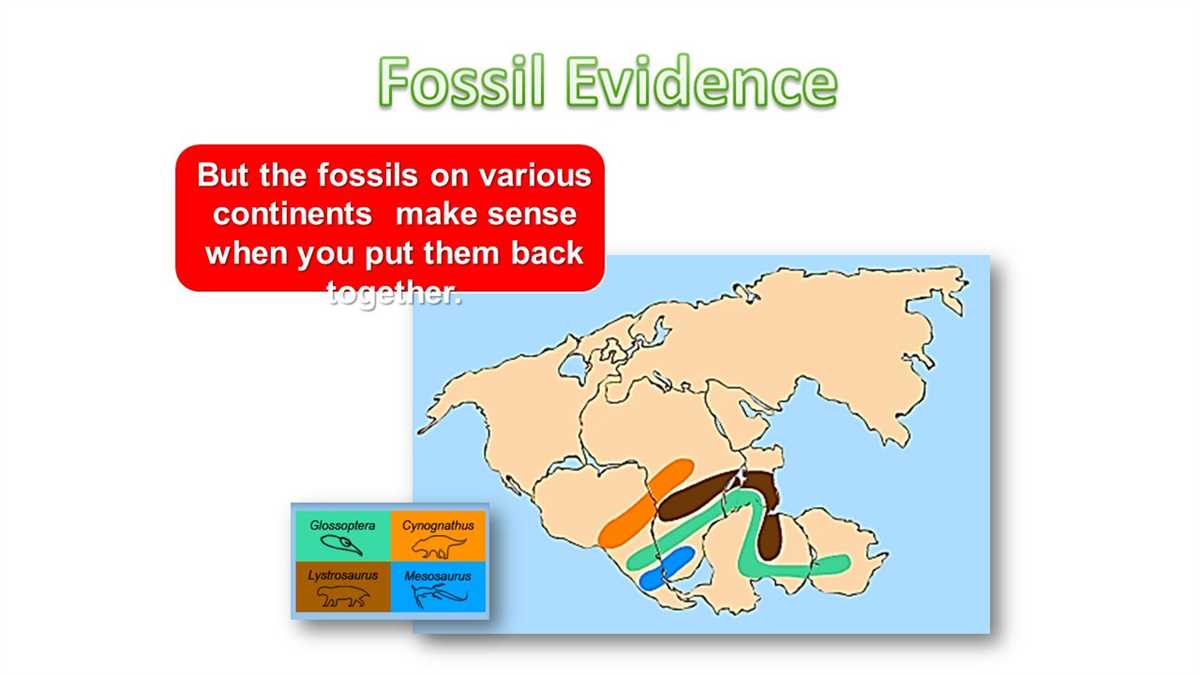 Fossil Evidence