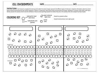 Cell environments worksheet answer key