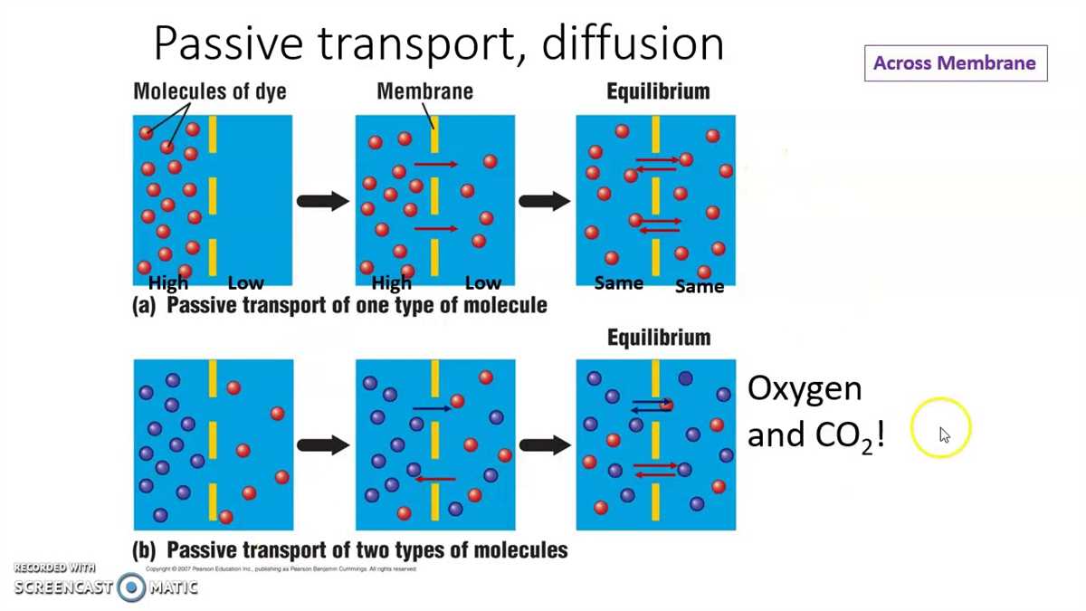 Further Research and Implications