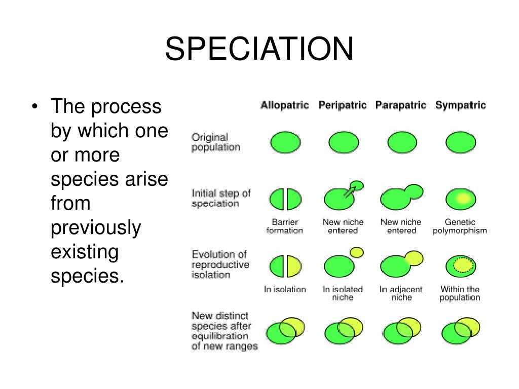 Types of Speciation