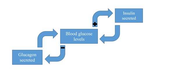 Dysregulation and Disease Implications