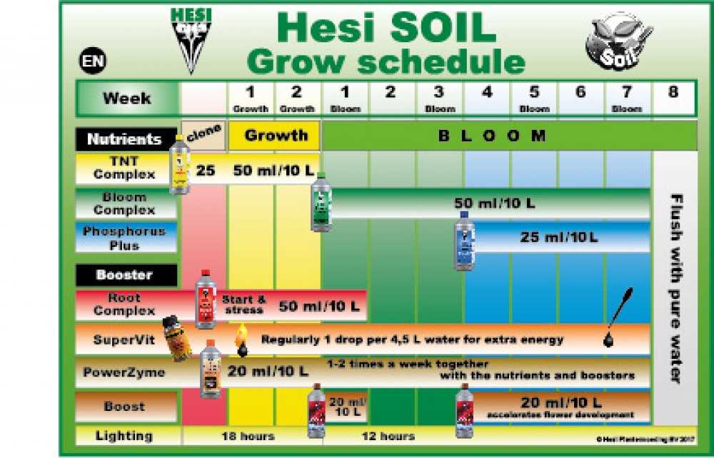 Next Steps After Taking the Hesi Fundamentals Proctored Exam