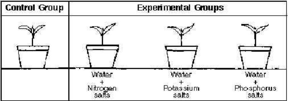 During a controlled experiment a scientist isolates and tests