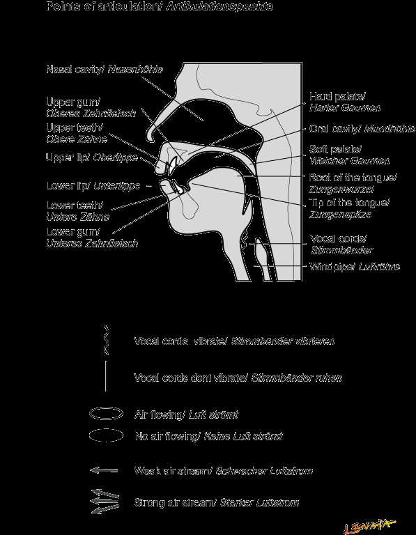 Arizona articulation test