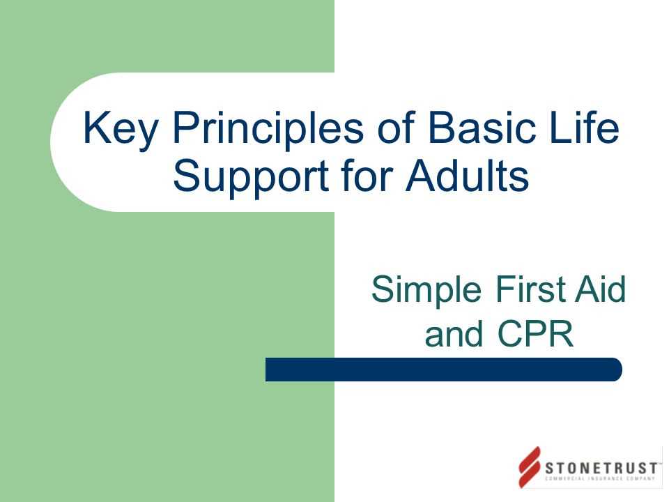 Interpreting BLS Answer Key Approaches