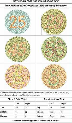 Understanding Visual Impairment and Types