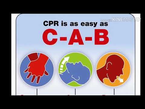 One of the most important factors in ensuring success is familiarizing yourself with the structure of the evaluation. Understand the various scenarios that might be tested, and make sure you have a solid grasp of how to respond effectively in each case. Knowing the correct procedures and being able to perform them under simulated conditions will set you up for success.