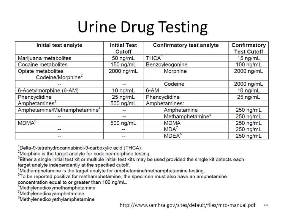 Drug and alcohol test answers 2025