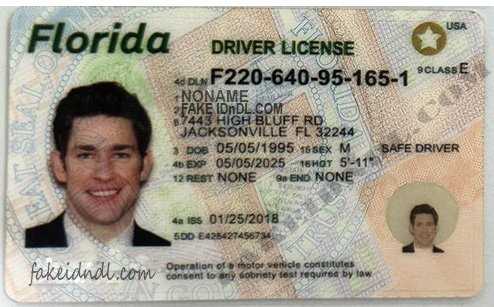 Florida License Test Overview