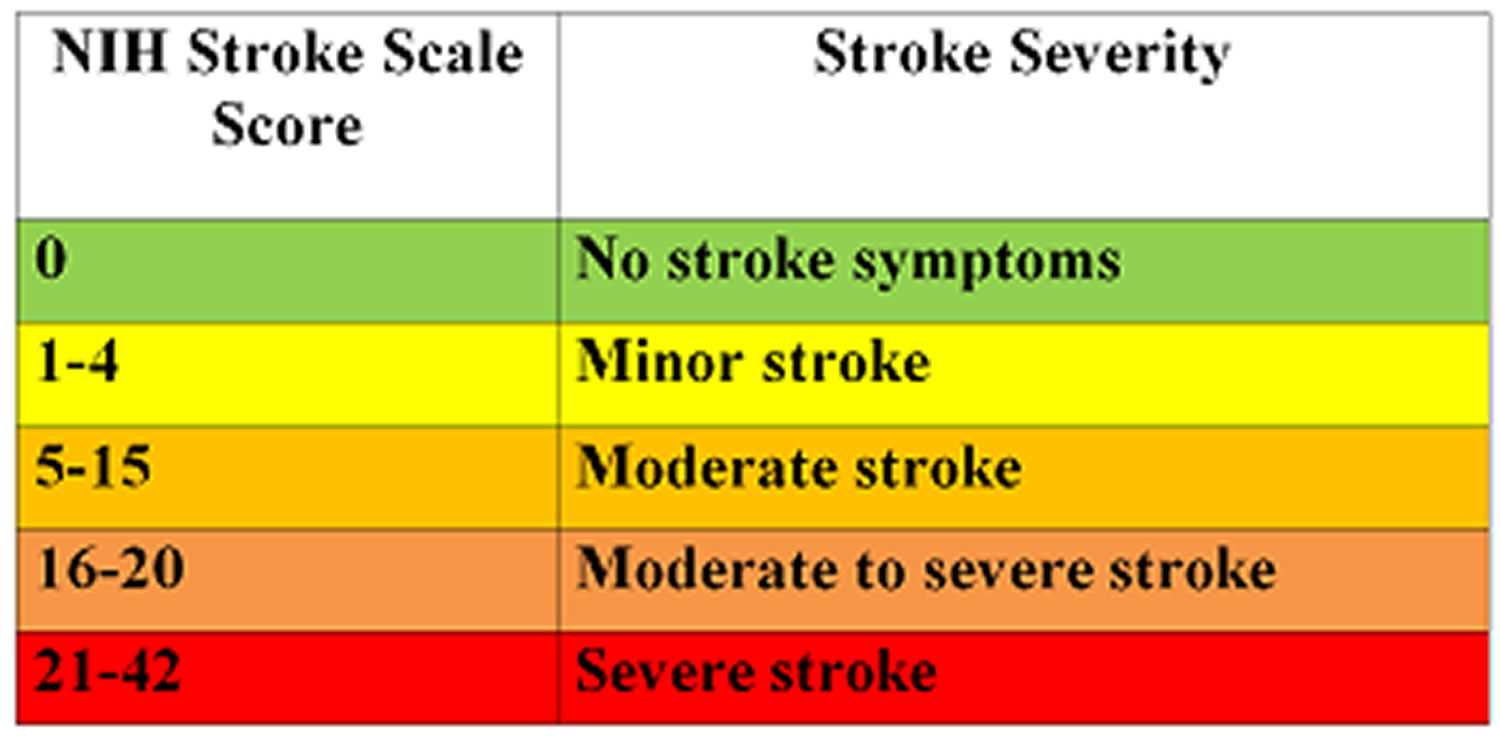 Overview of Neurological Function Assessment