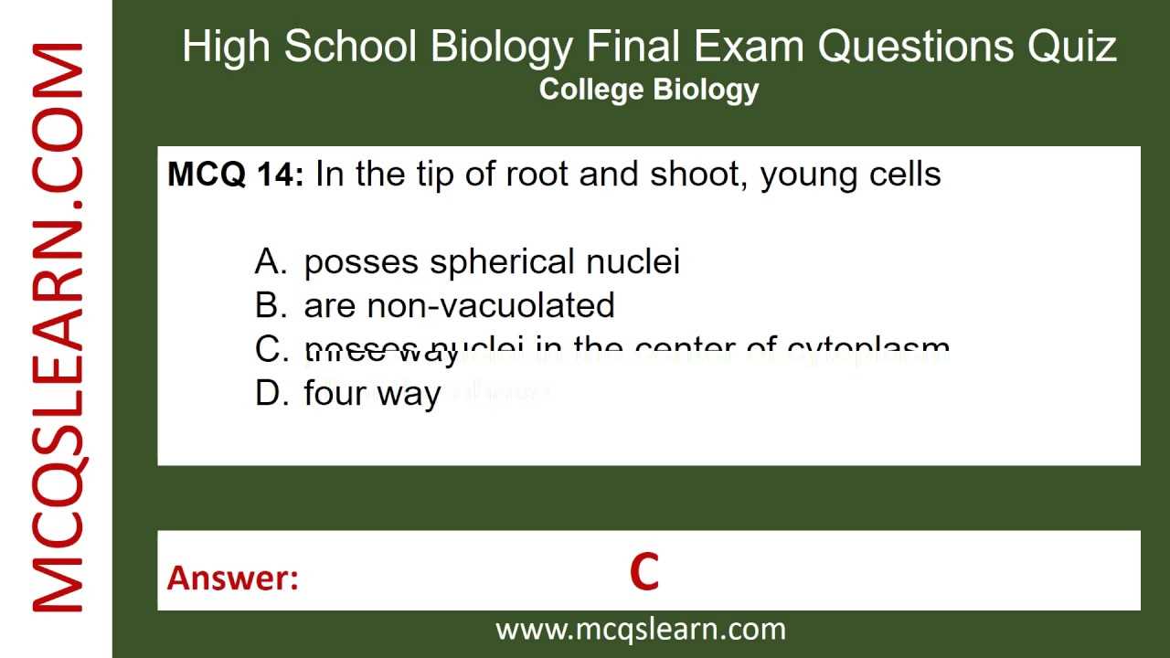 Common Mistakes to Avoid During the Test