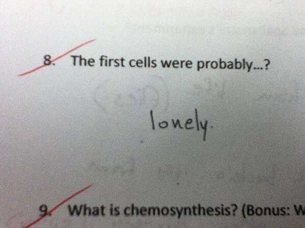 Ridiculous test answers