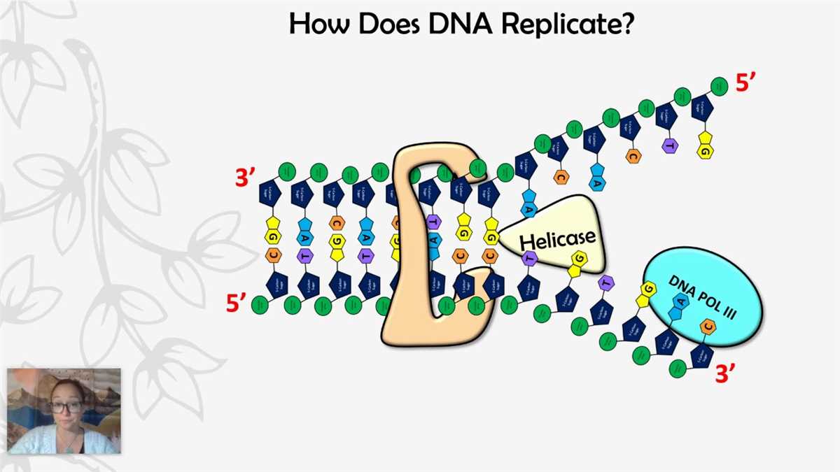 Exploring the Answer Key for AP Biology 029 Mendelian Genetics Exam