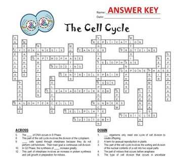 Agriculture Crossword Puzzle Answer Key Explained