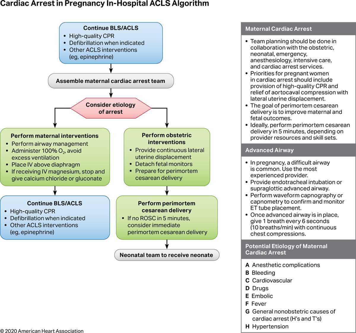 Airway Management