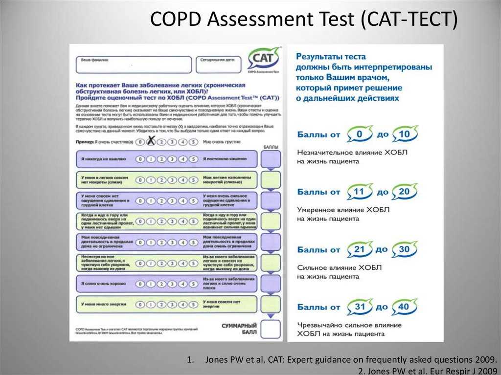 Understanding the Test Structure