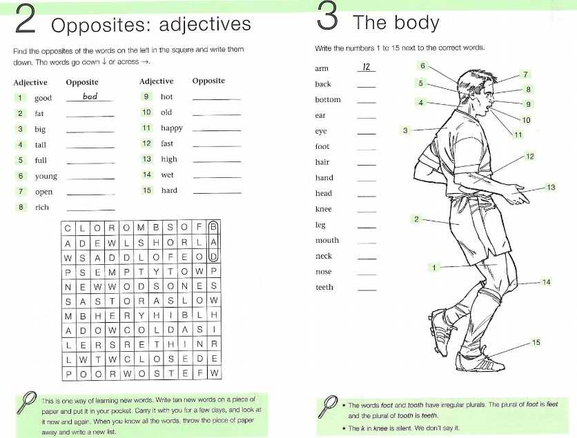 One word expressive vocabulary test