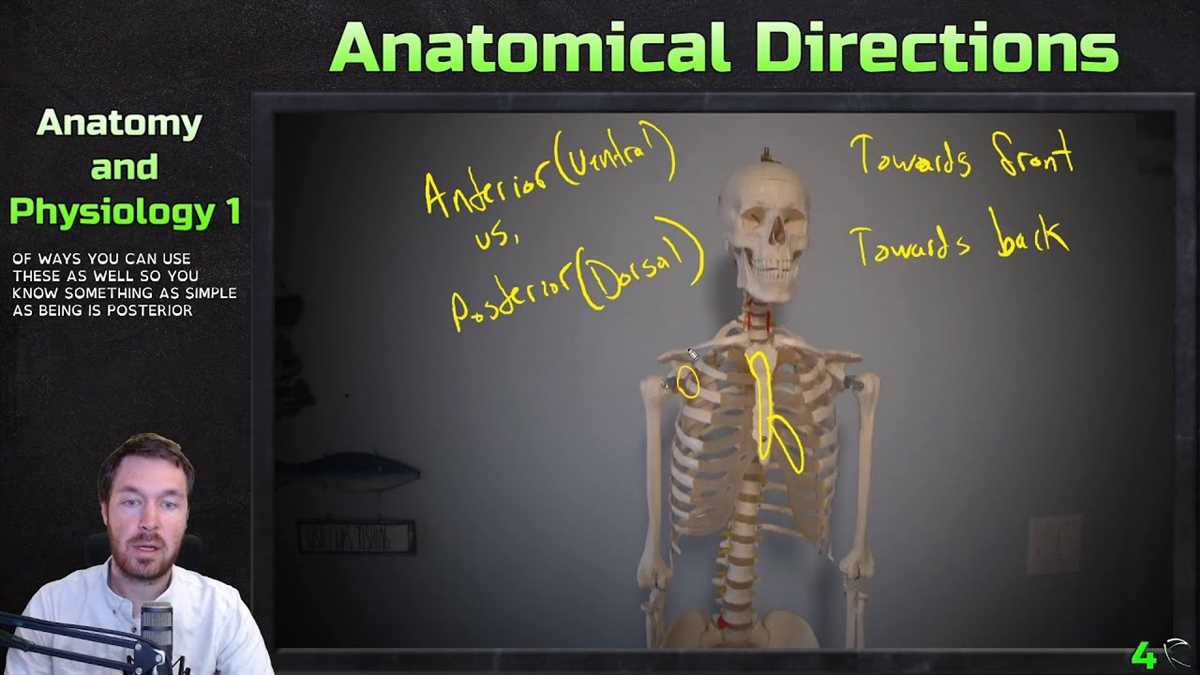 The Respiratory System