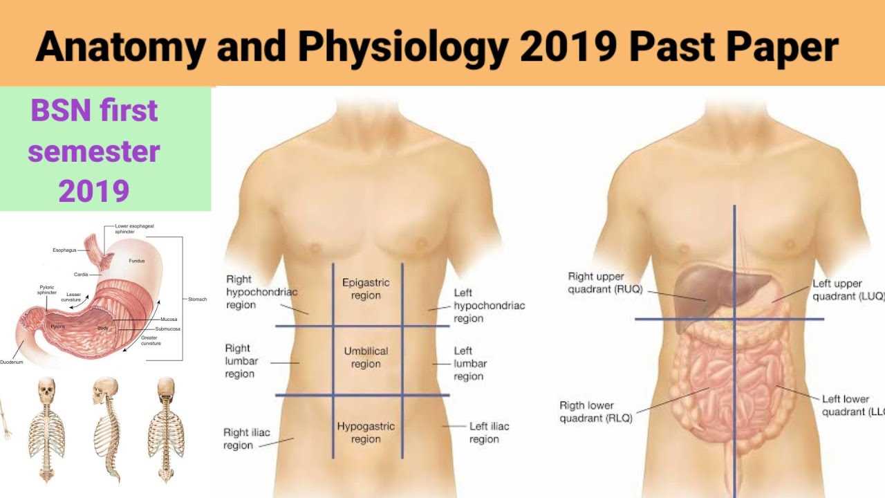 Understanding Body Systems and Functions