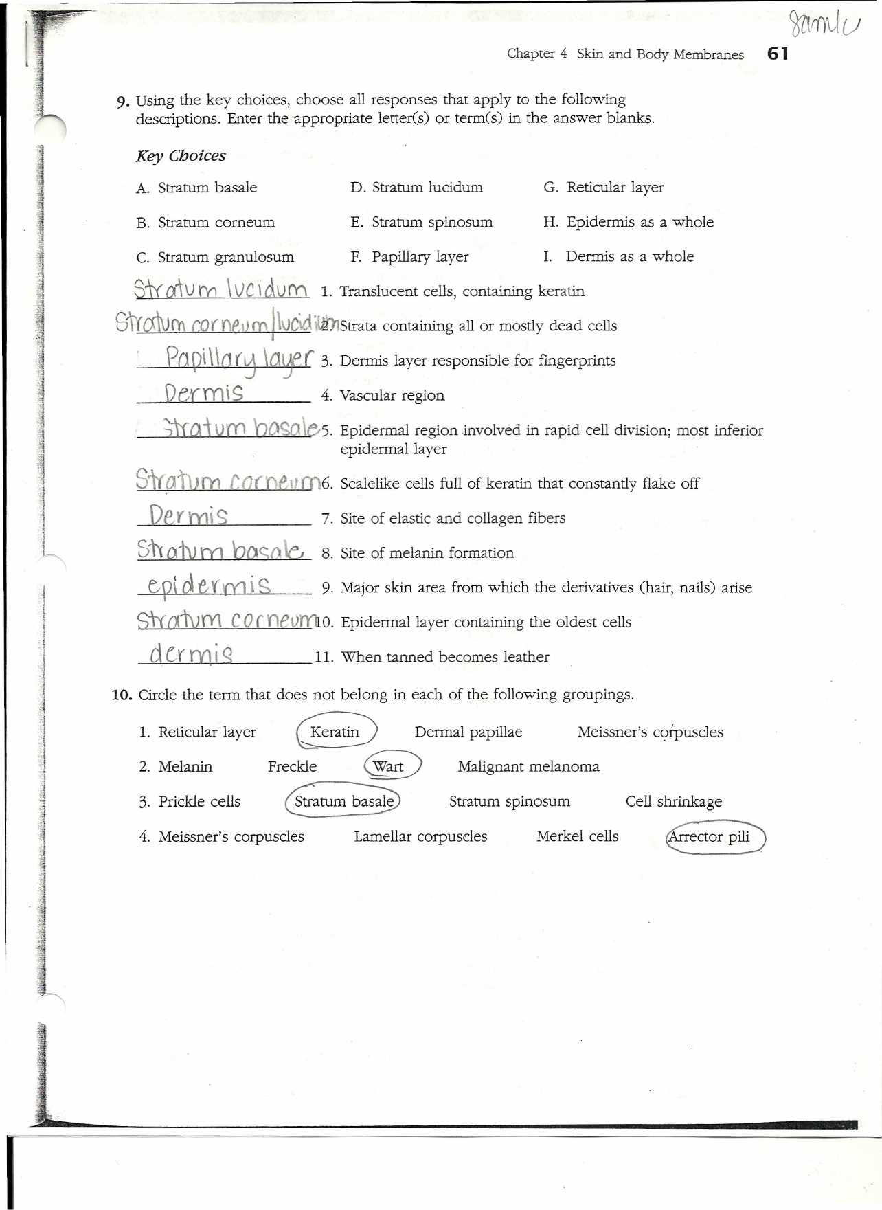 Anatomy and physiology unit 1 exam answer key