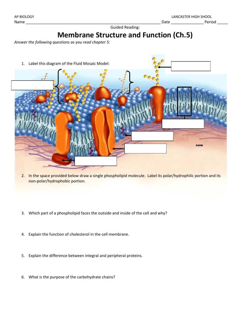 Common Mistakes When Answering AP Biology Chapter 3 Reading Guide