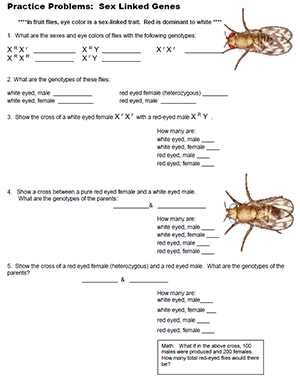 Common Mistakes to Avoid in AP Biology Genetics Practice Problems