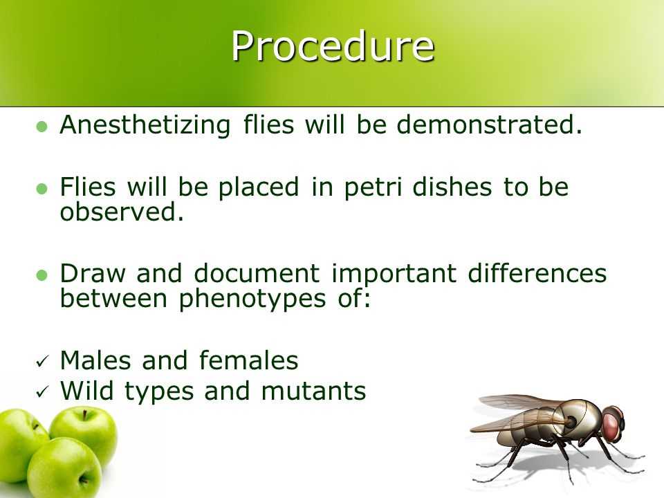 Ap biology genetics practice problems answers pdf