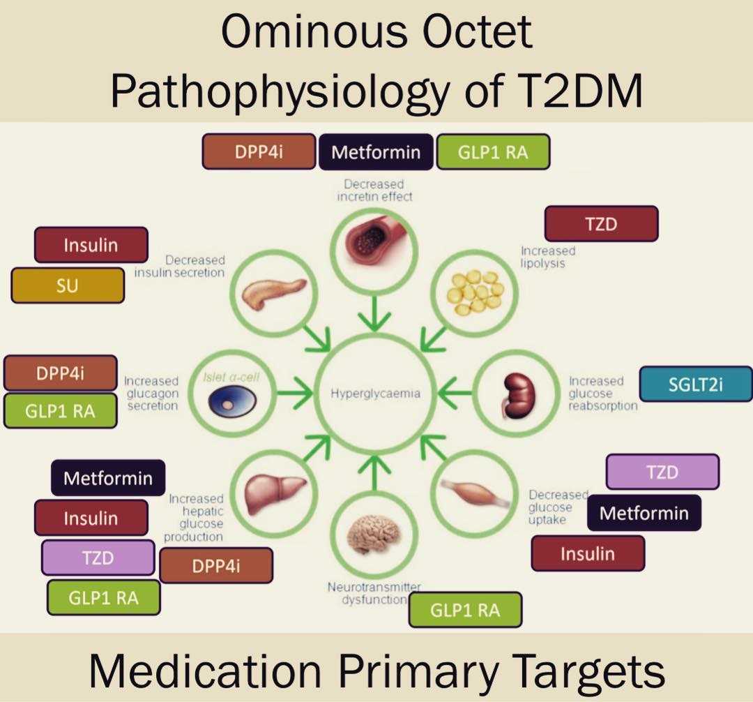 Applied pathophysiology for the advanced practice nurse test bank free