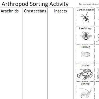 Arthropod coloring worksheet answers