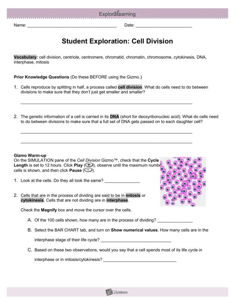 Key Takeaways from Carbon Cycle Gizmo Activity A