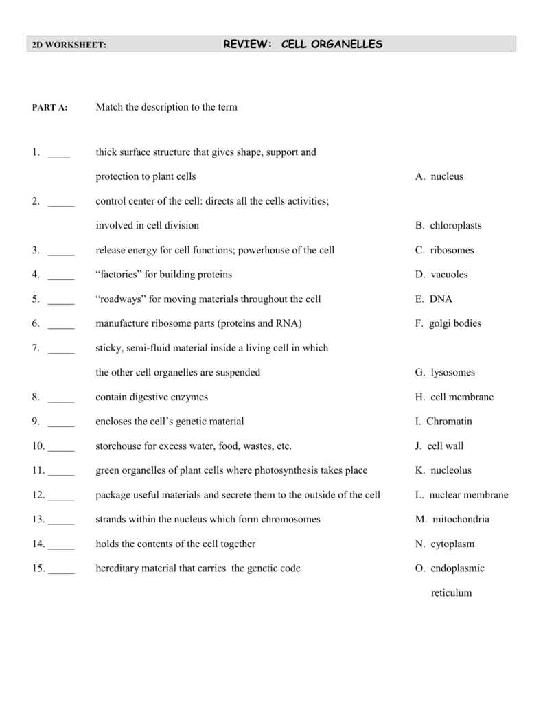 Understanding the Role of Cell Environments