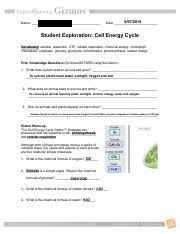 Cell respiration gizmo answer key