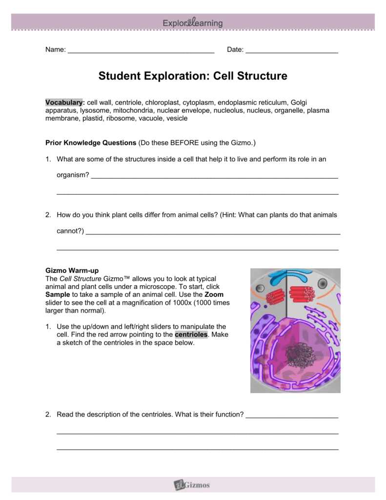 Benefits of Using Cell Types Gizmo Answer Key Activity A