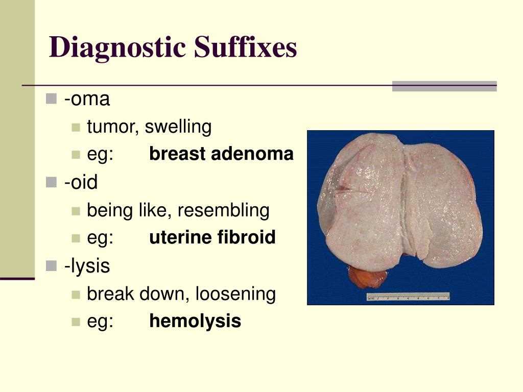 Common Medical Suffixes