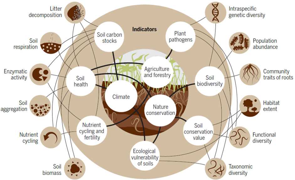 Threats to Biodiversity