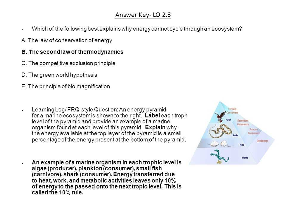 Understanding Chapter 5 How Ecosystems Work Answer Key