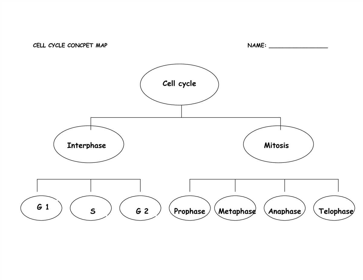 Chapter 9 the cell cycle answer key